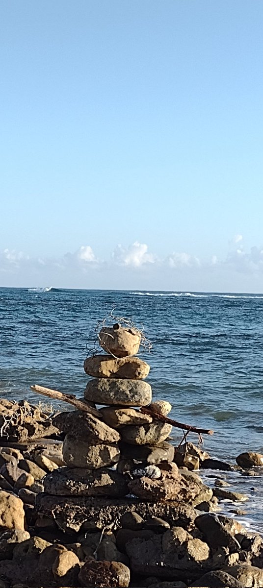 Hélène St-Denis tweet media