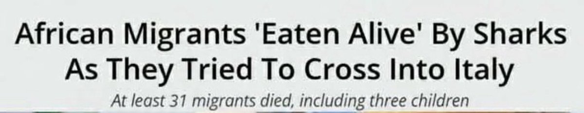 That moment when you realize sharks are more of an ally than liberals.