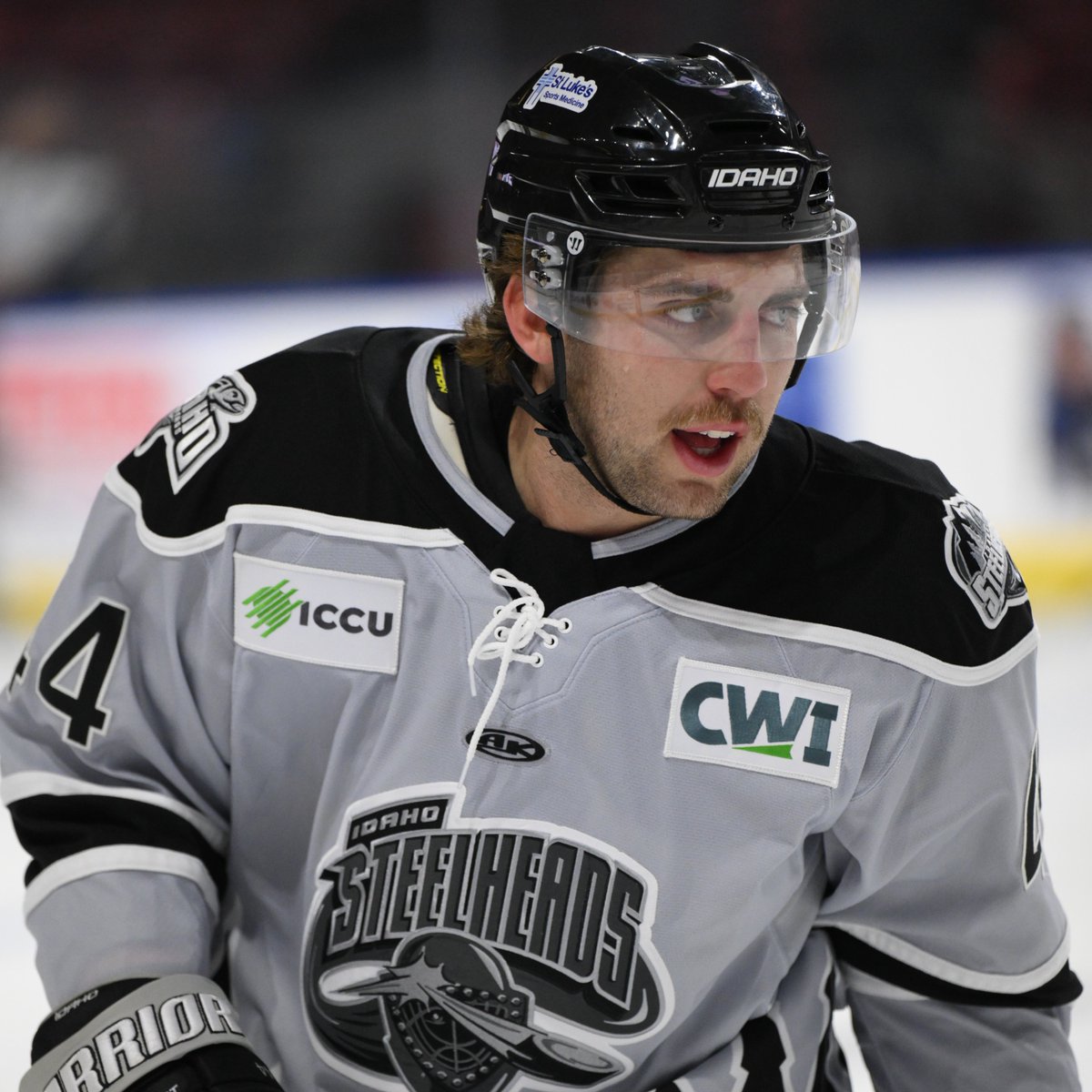 Idaho Steelheads tweet media