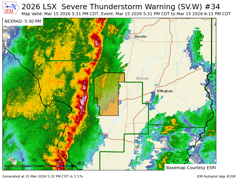 Haley Fitzpatrick tweet media