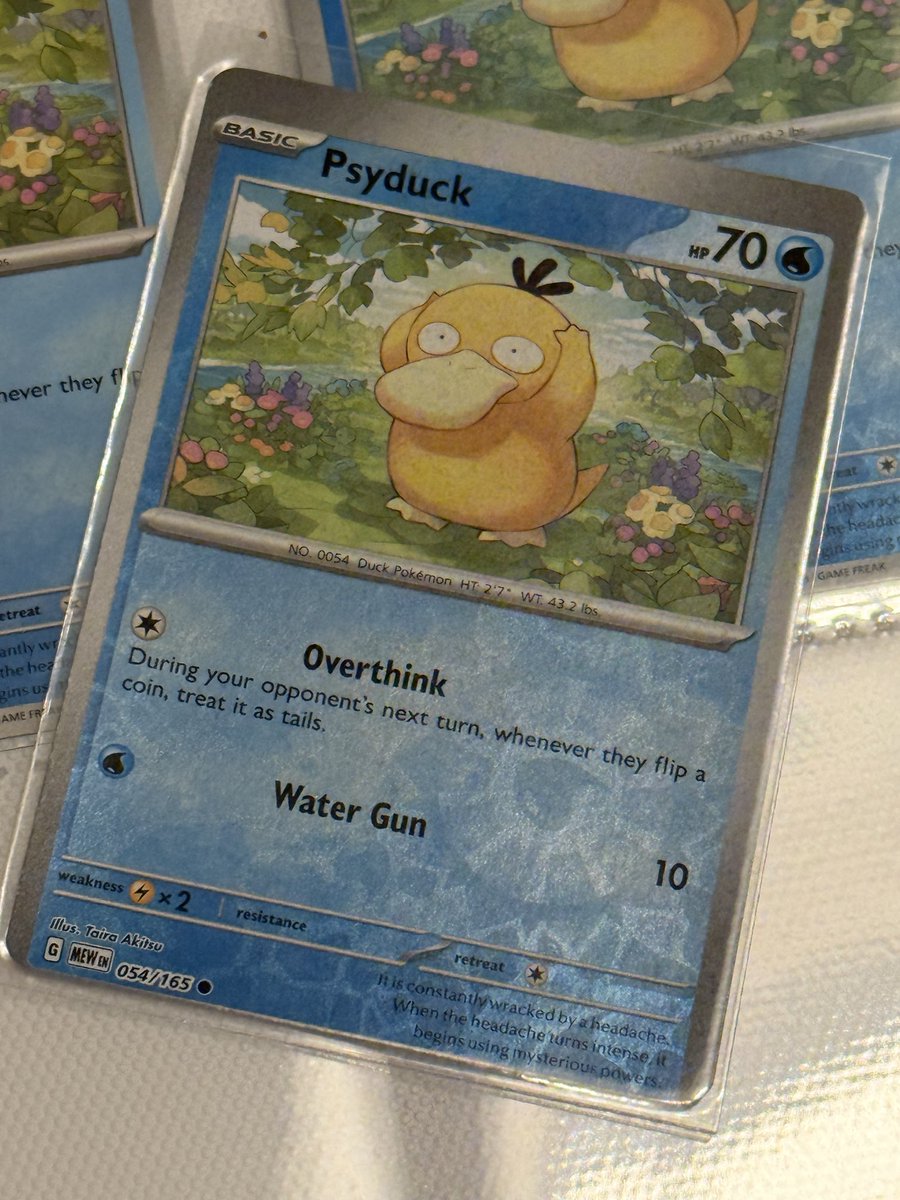 KAME🐢 tweet media