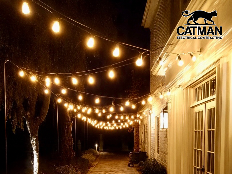 Catman Electrical Contracting tweet media