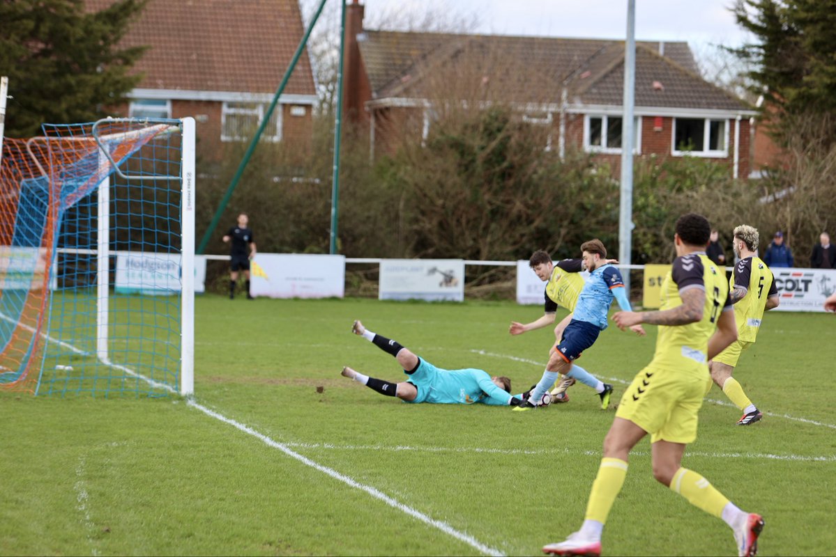 ADAMSON IMAGES tweet media