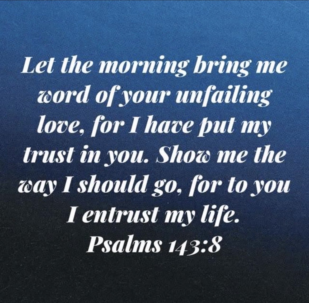 Karen Stell (@stell_karen) on Twitter photo 