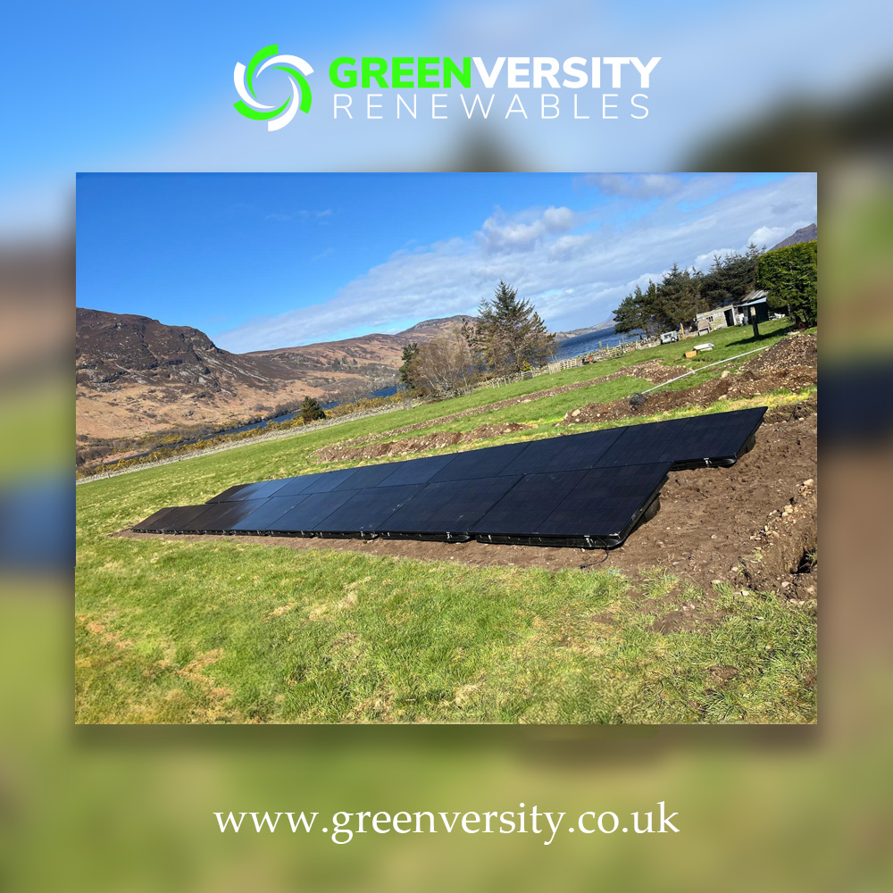 GreenVersity tweet media