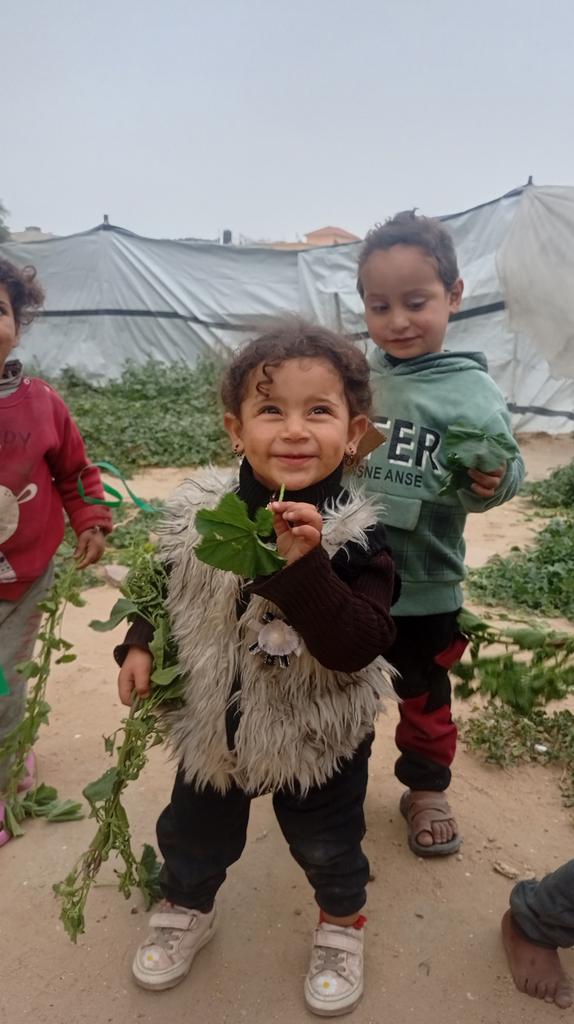 ahmed ziad🔻🍉🇵🇸 tweet media