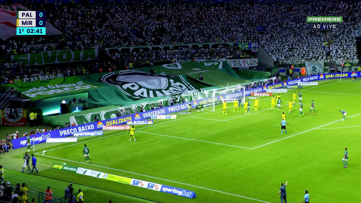 Palmeiras memes🐷💚 tweet media