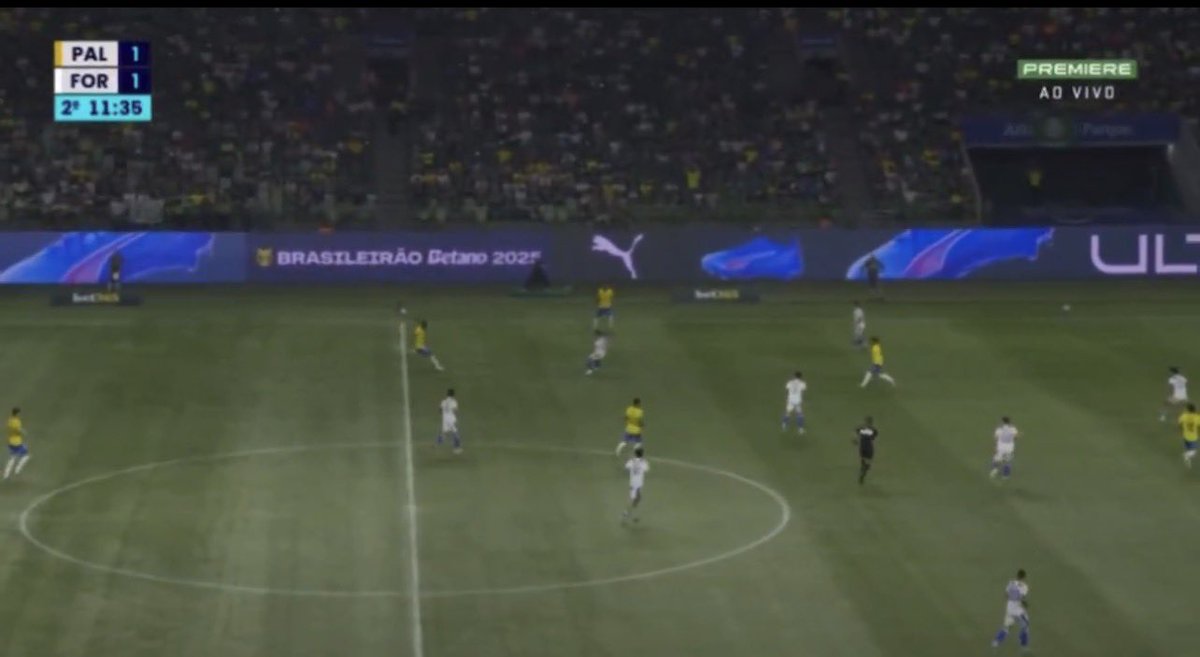 Palmeiras memes🐷💚 tweet media