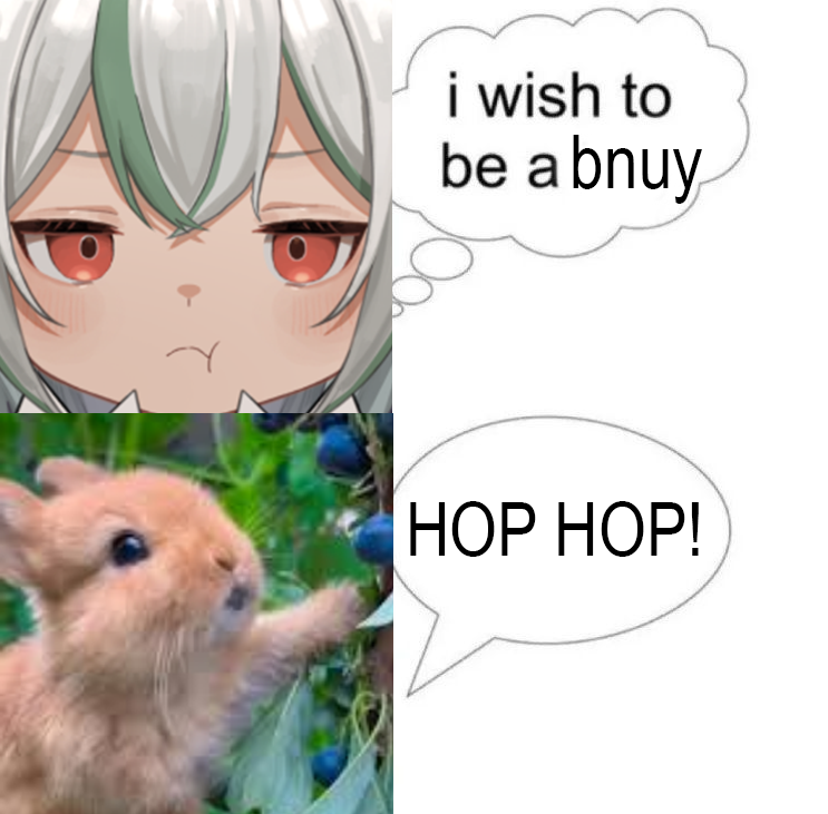 Pyonta 🐇 tweet media