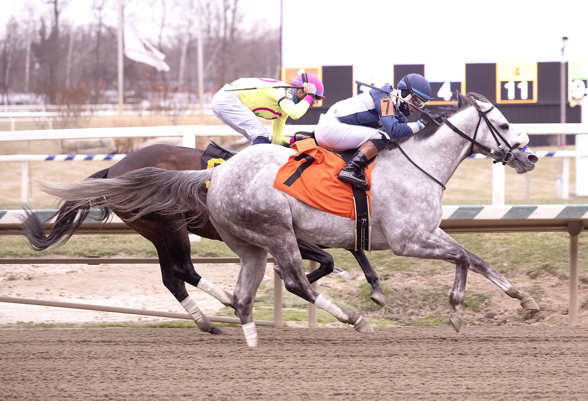 The Maryland Jockey Club, Inc. tweet media