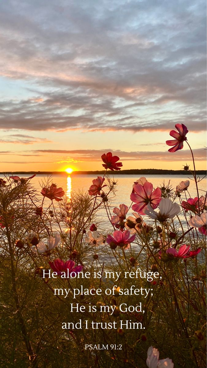 Catherine ♡ =^..^= tweet media