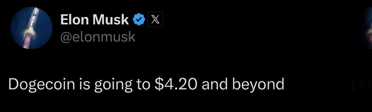 𝓣 𝓞 𝓟 𝓓 𝓞 𝓖 𝓔 tweet media