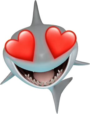 bibble🍄 tweet media