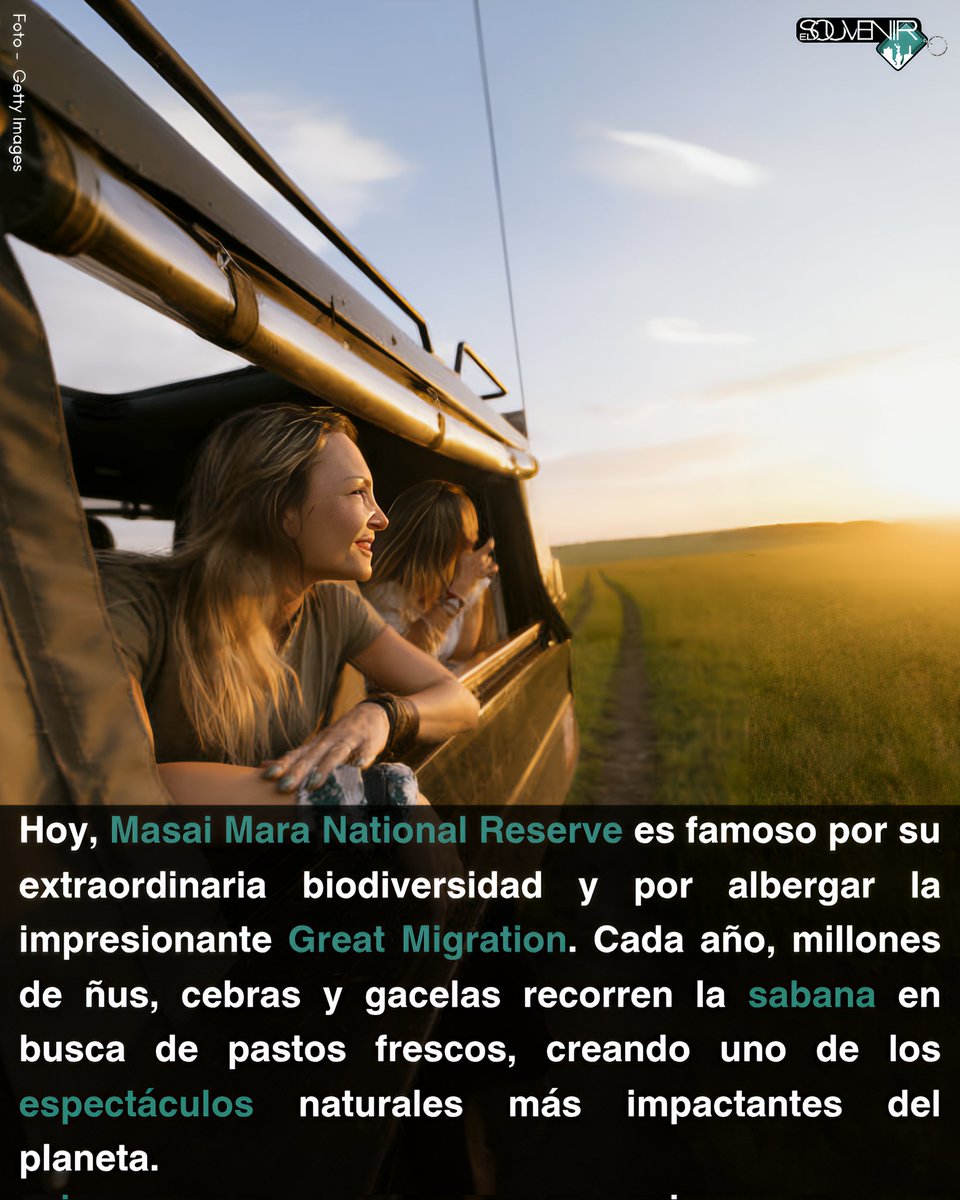 el_souvenir's tweet image. En el corazón de África, el salvaje Parque Nacional Masai Mara despliega uno de los espectáculos naturales más impresionantes del planeta: leones, elefantes y la legendaria Gran Migración recorriendo la sabana infinita. 🦁🐘

#masaimara #africa #elsouvenir #safari #aventura