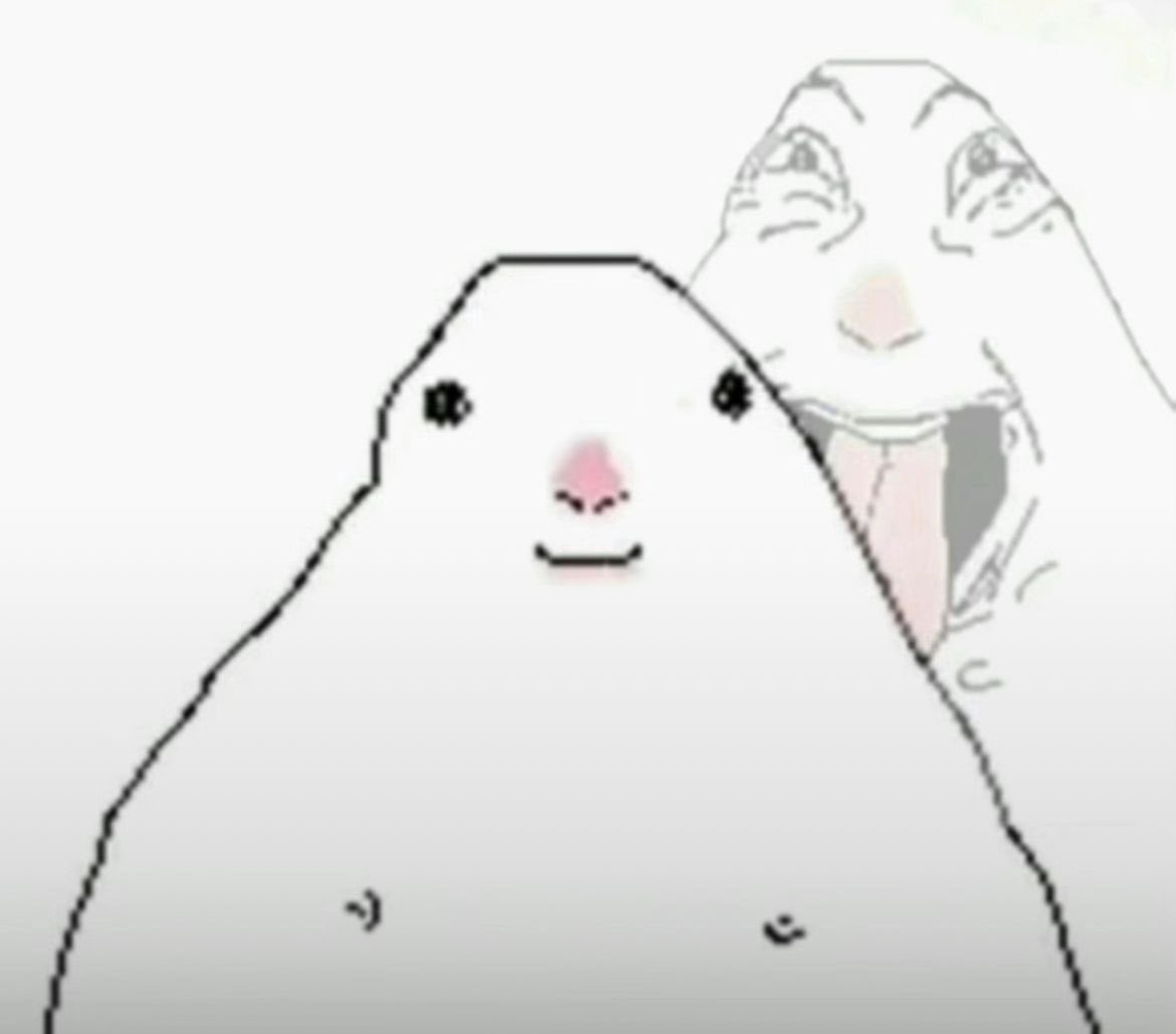 .. ⌒ ͡ ꒦ ݁ ⁎ 𝚇𝙸𝙽𝙶𝚀𝙸𝚄 tweet media