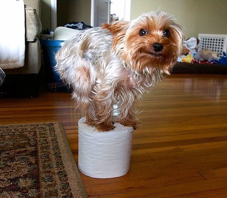 Everything is so possible .