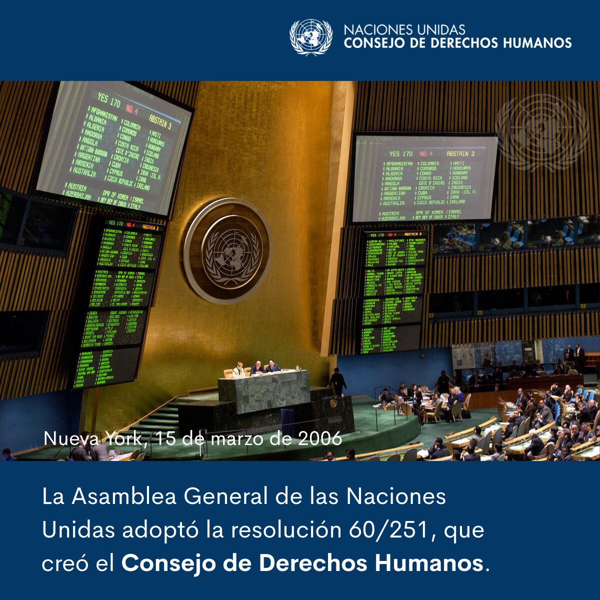 UN Human Rights Council tweet media