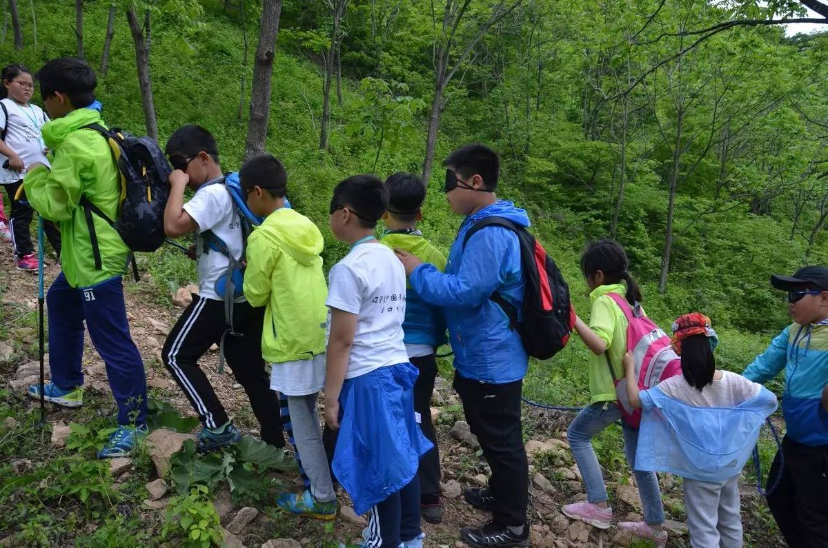 Mogendi justine tweet media