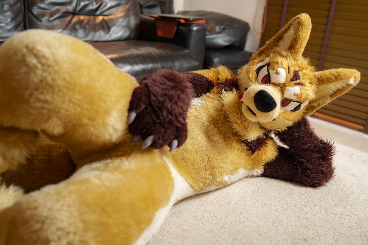 よすけ tweet media