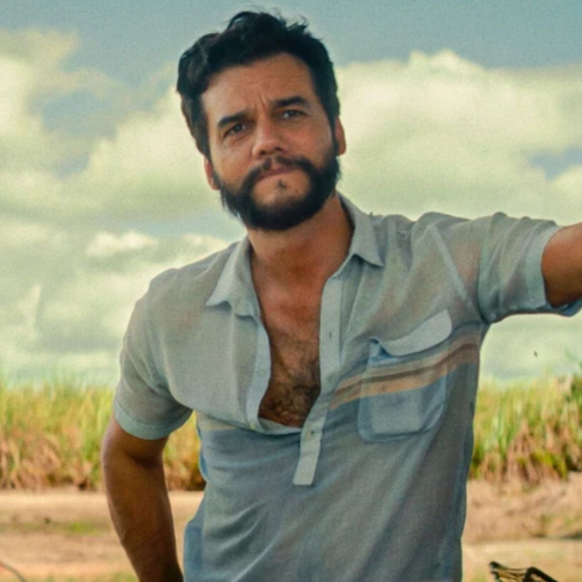 Fernando Bertini tweet media