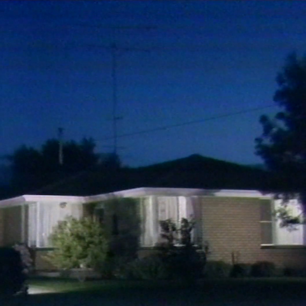 Daily Signalwave Album tweet media