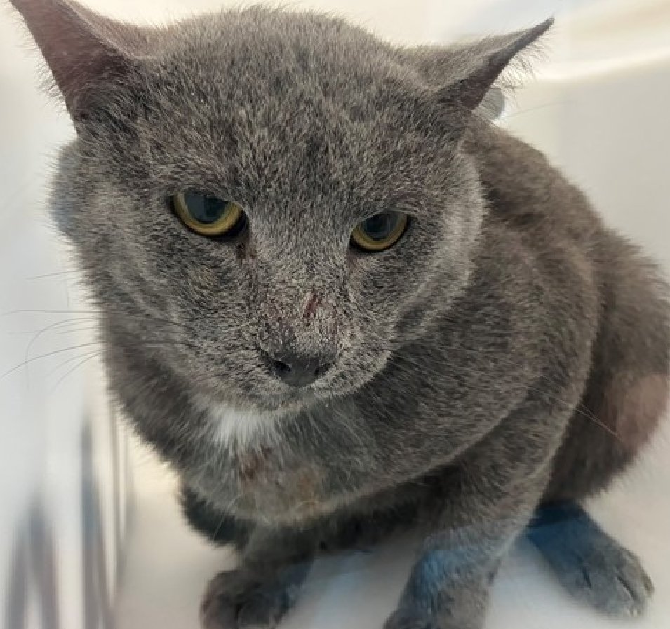 Jack5928 tweet media