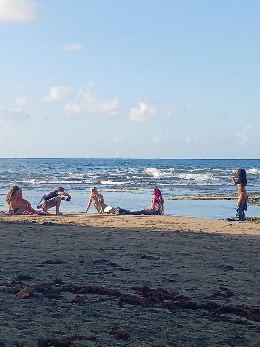 SmokinLove₿ill🌴🐒🍺🟠🥓🥩🍖🍗 tweet media