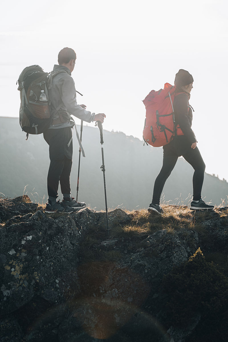 Bellissima tweet media