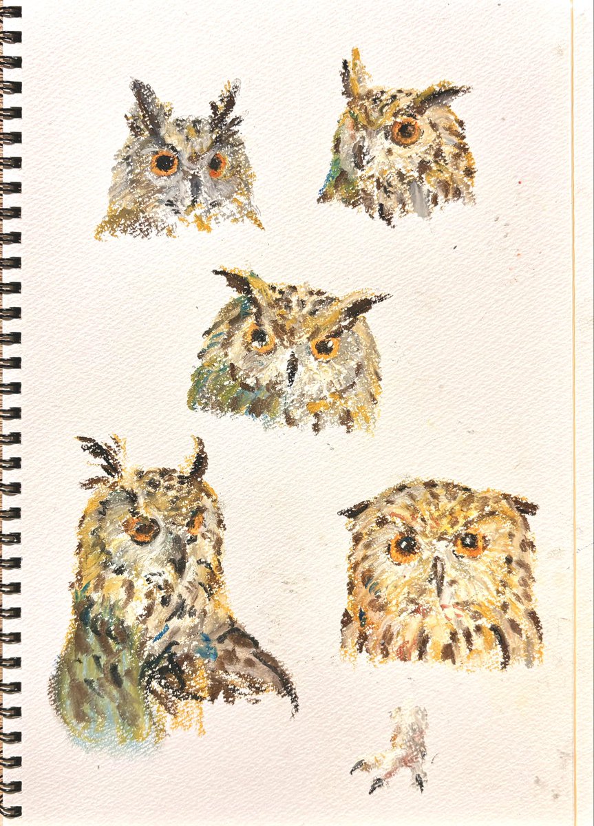 ほしの tweet media