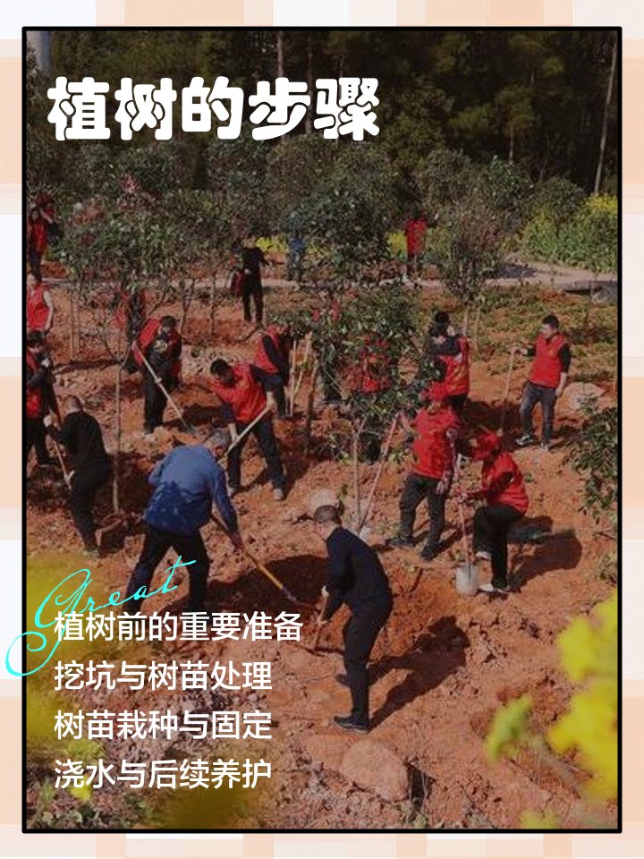 Bruno Td tweet media