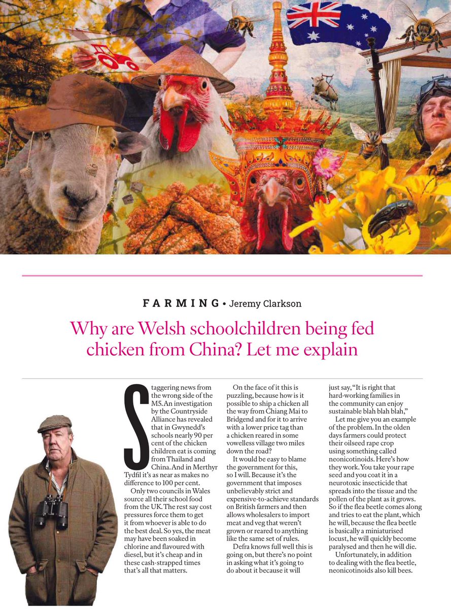 Liz Webster tweet media