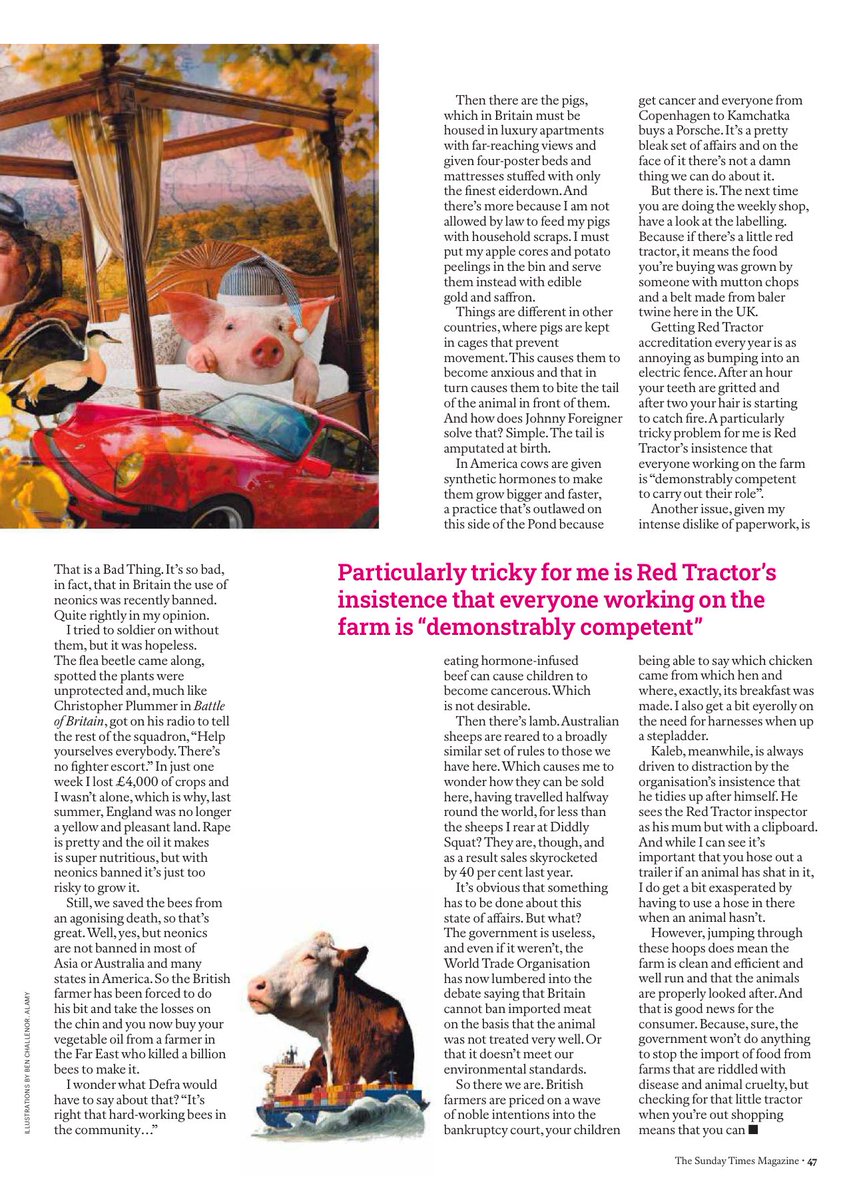 Liz Webster tweet media