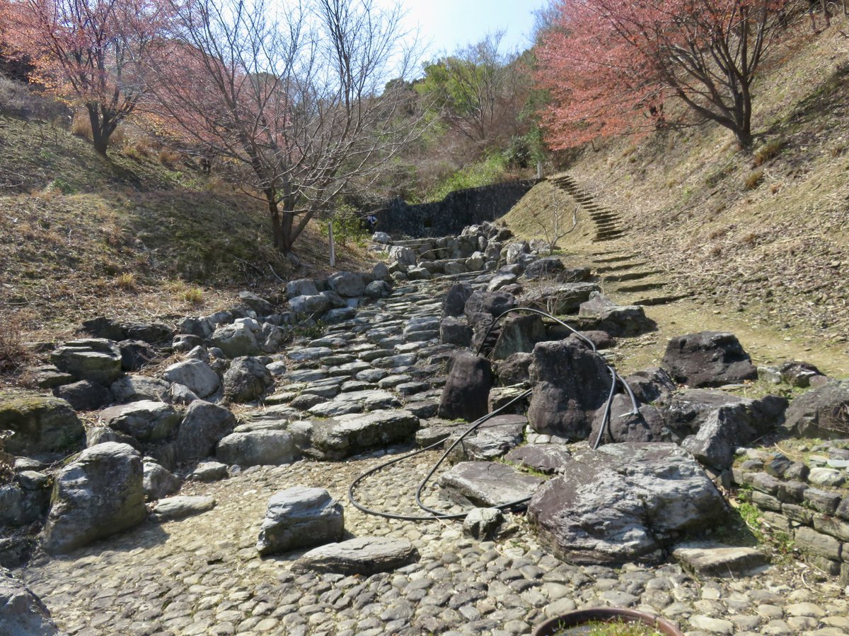 note1200www's tweet photo. 阿波史跡公園の春 https://t.co/TXPWPi8AK4
