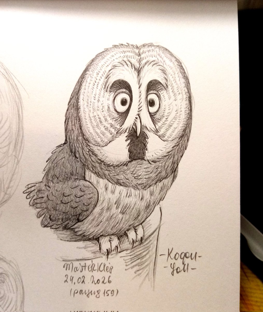 masterklep's tweet photo. Owls! Character design practice.

#sketching #dailysketches #pencilart #practice #characterdesign #funnycute #characters #stylisation #owls
#MasterKlepArt https://t.co/z1gFmSHoZJ