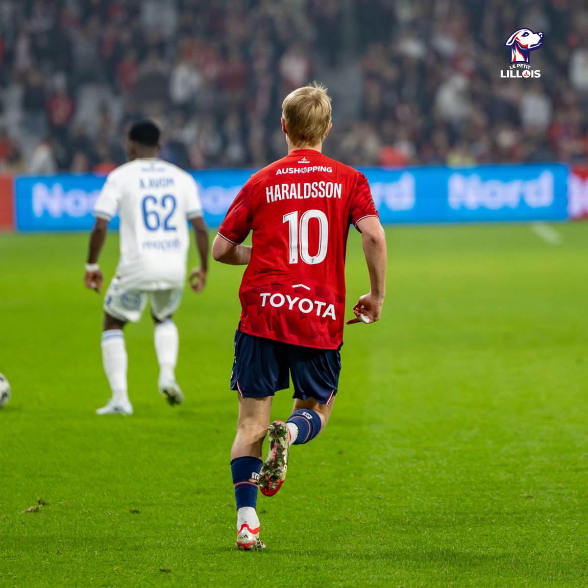 Le Petit Lillois ⚜️ tweet media