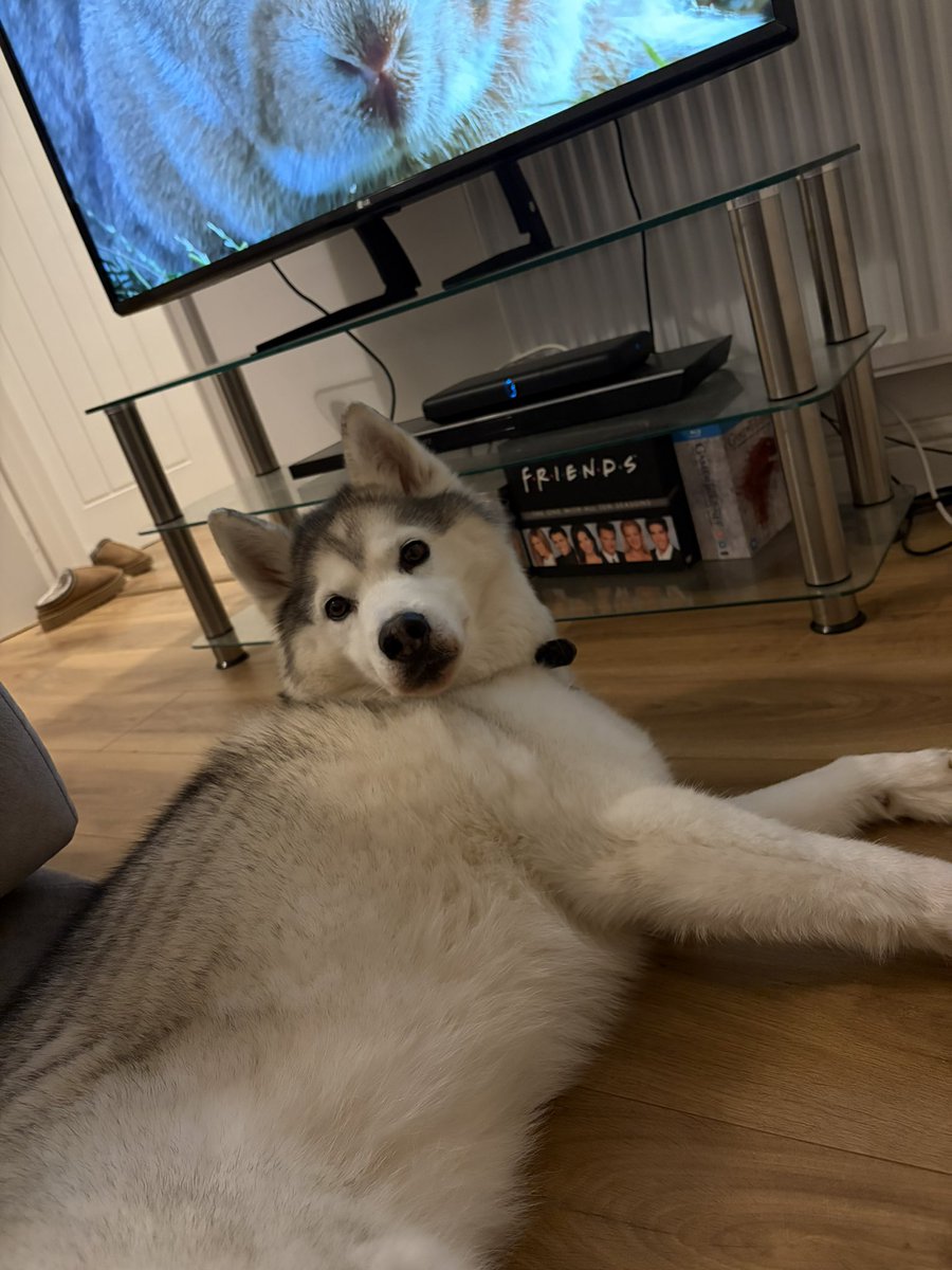 The MP for Gorton tweet media