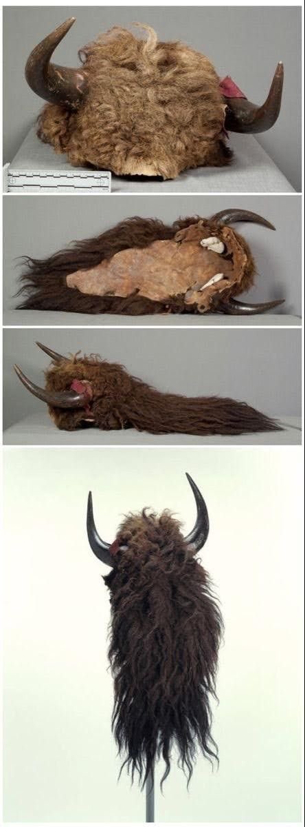 𝘝𝘌𝘙𝘔𝘐𝘕𝘊𝘐𝘋𝘌 !!! tweet media