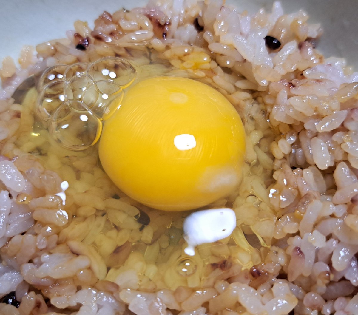 0804tamu's tweet photo. ｢下田ブルー｣

青い卵🐣
本当に青いっ👀‼️
とりあえずTKGで実食😋
爽やかでクリアな美味しさ💕

#下田ブルー
#青い卵
#TKG https://t.co/MGmRMa4kgo