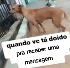 vitrola (@falecidovitrola) on Twitter photo 