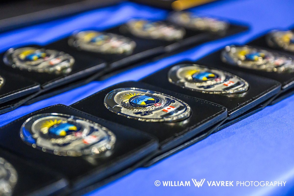 William Vavrek tweet media