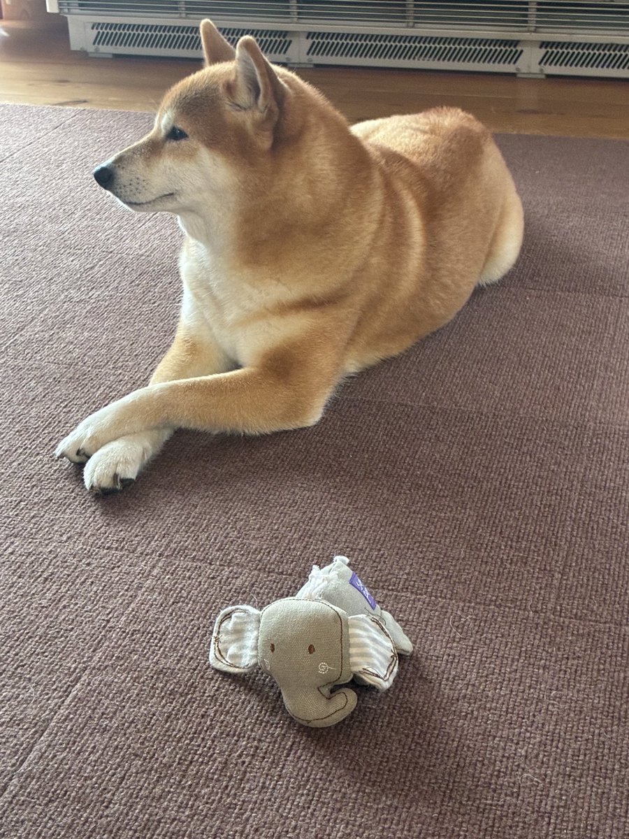 ひだまり tweet media