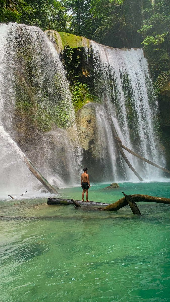 Mew S Ginting tweet media