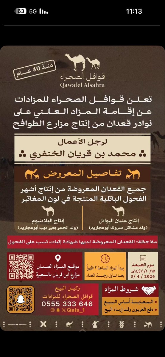 محمد الخنفري tweet media