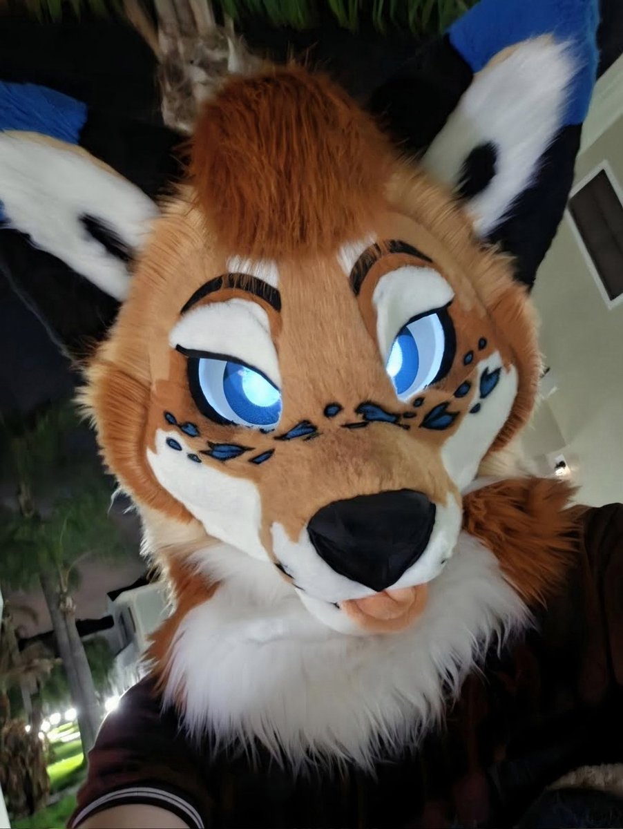 Riley 🧡 🔜 FWA, AC tweet media