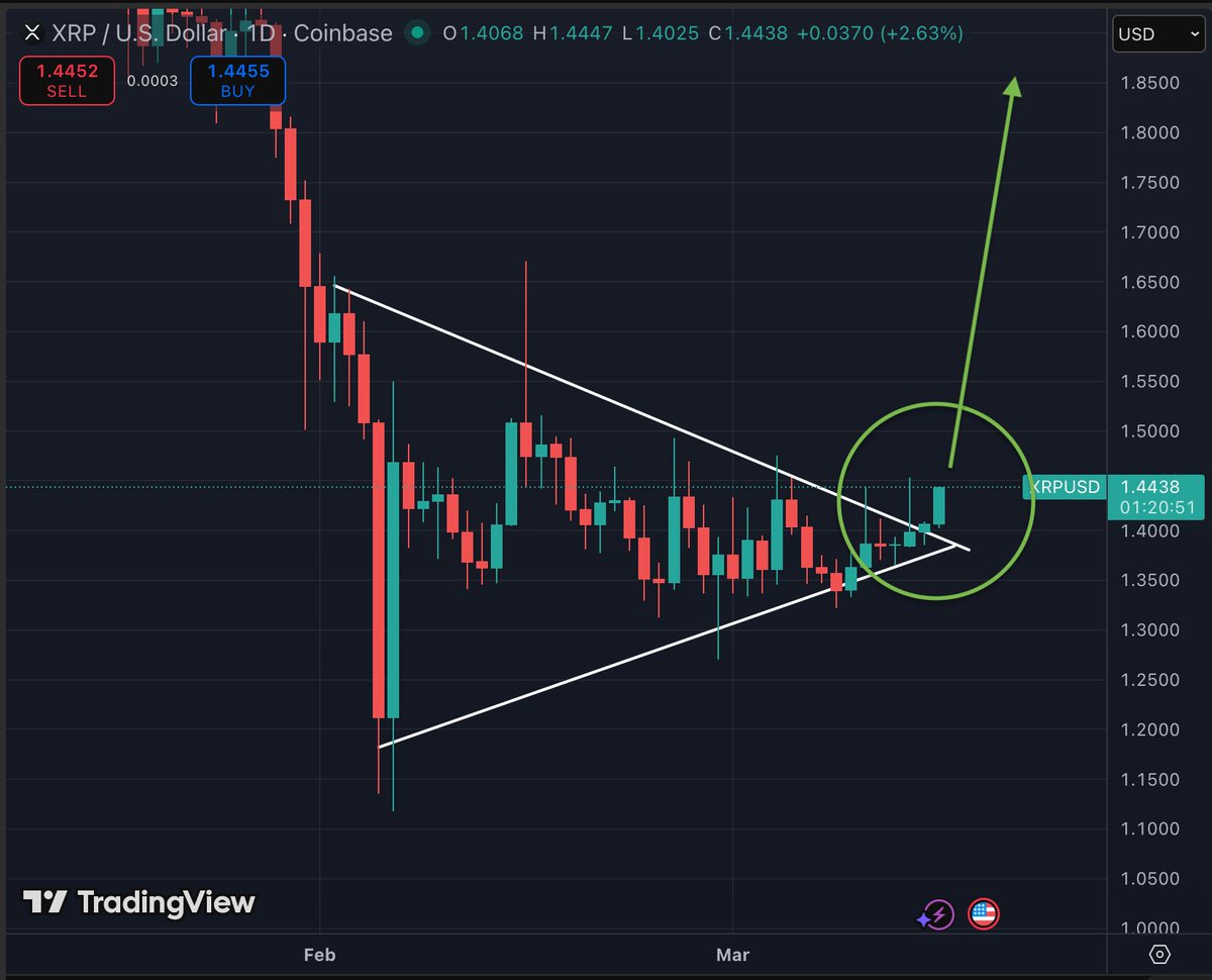 Bird_XRPL's tweet photo. $XRP ready to rock and roll this week? https://t.co/WPfsE0cgJL