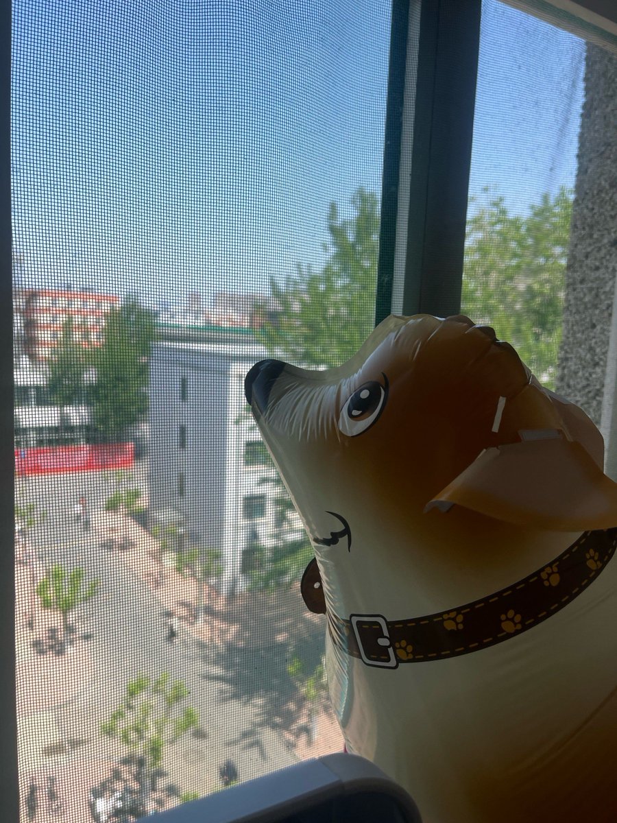 normand hasabulla tweet media