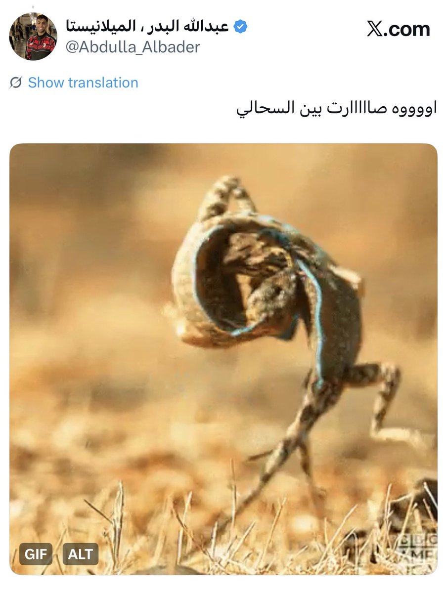 🪖🪖الأزرق tweet media