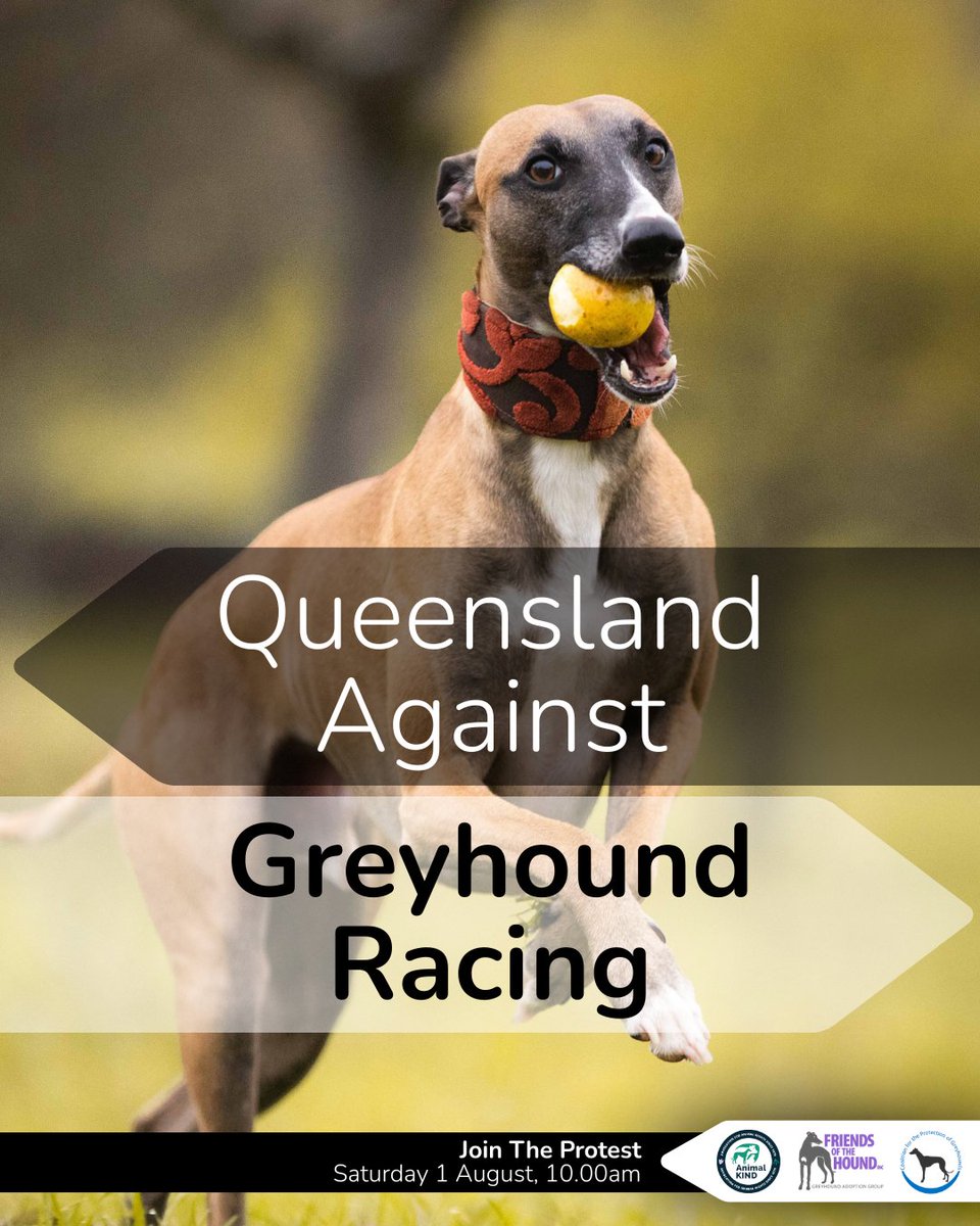 AnimalKIND tweet media