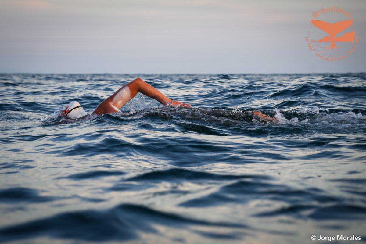 CONANP_mx's tweet photo. La nadadora mexicana Stephanie Montero fue nominada al Yudovin Award for Most Adventurous Swim de la Marathon Swimmers Federation, gracias a su extraordinario nado desde el Parque Nacional #IslaIsabel hasta la Reserva de la Biosfera #MarismasNacionales Nayarit. 🏊🏻♀️🇲🇽 https://t.co/0W2Gnt7bWG
