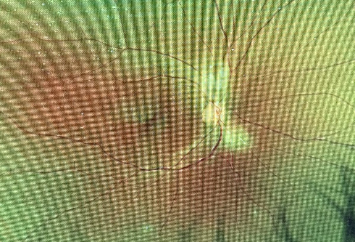 فائقة المحمودي tweet media